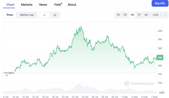 Solana 30-Day Price Fluctuations On Coinmarketcap.