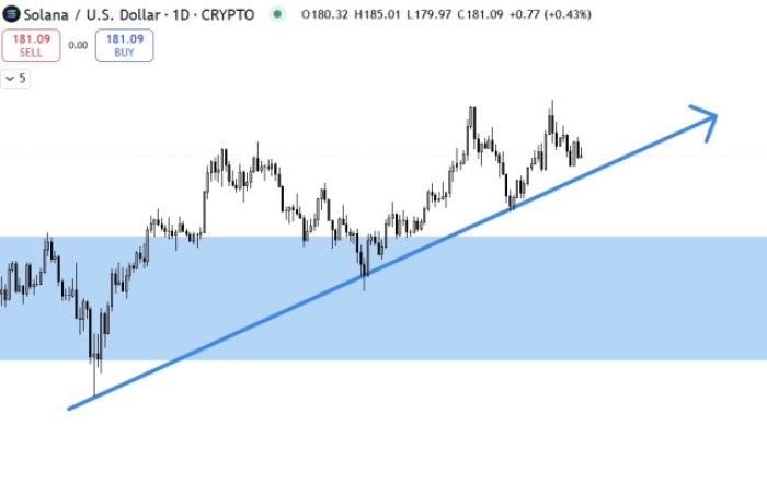 Solana ($Sol) – A Contender For Bitcoin'S Crown