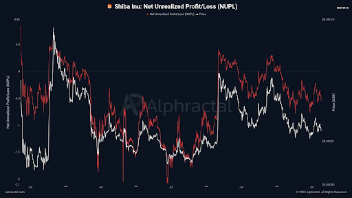 Shiba Inu Accumulation Signals Possible 125% Price Surge-Bitrabo Shiba Inu 2