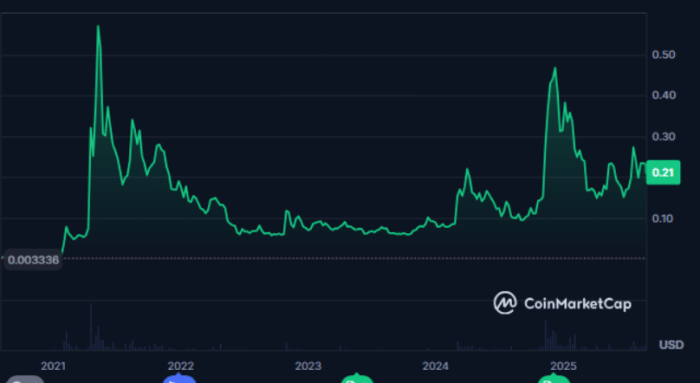 Dogecoin Price Trajectory Over 5 Years