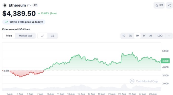 Ethereum Market Insights
