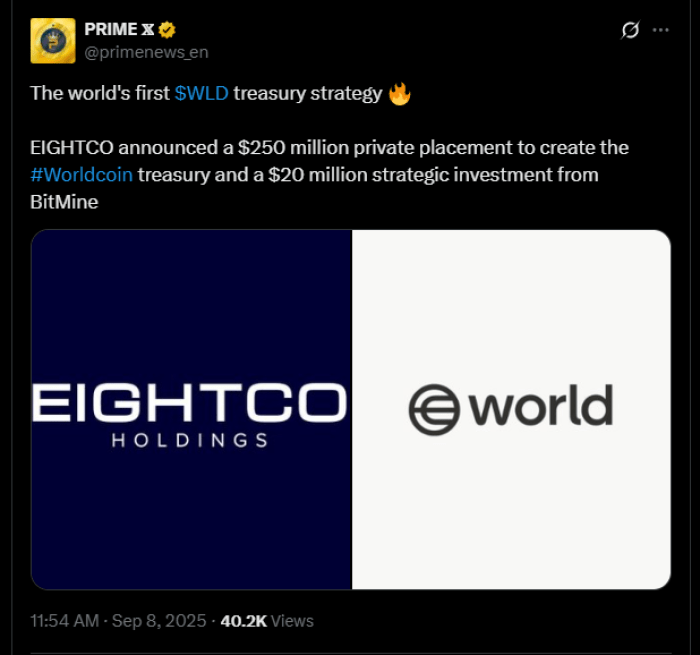 Eightco'S Investment In Worldcoin