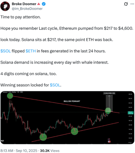 Chart Showing Solana’s Positioning And Growth Predictions