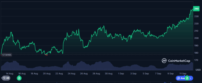 Solana Growth Performance