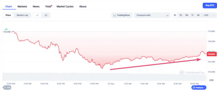 Bitcoin'S Latest Price Trends