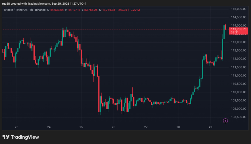 Ukrainian Crypto Trends