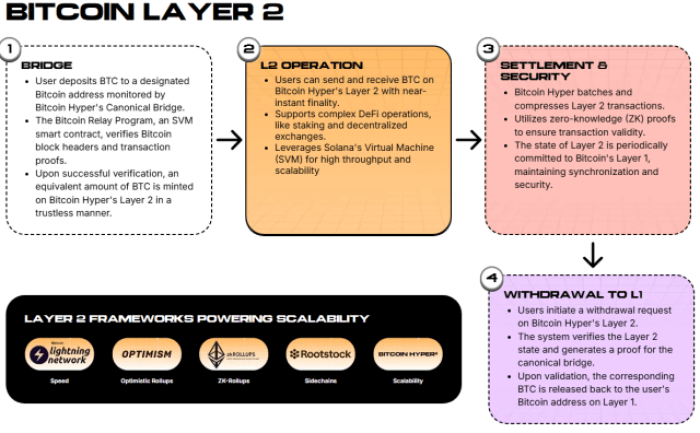 The Operational Framework Of Hyper’s Canonical Bridge.
