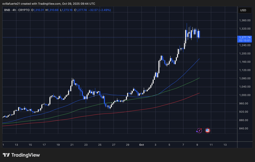 Bnb Price Analysis