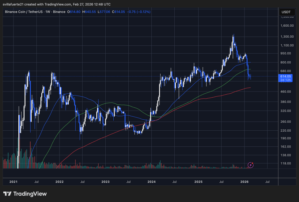 BNB consolidates in a key level | Source: BNBUSDT