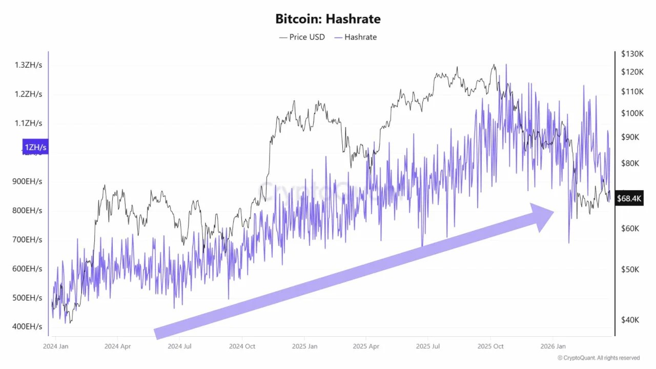 Bitcoin Hashrate | Source: CryptoQuant