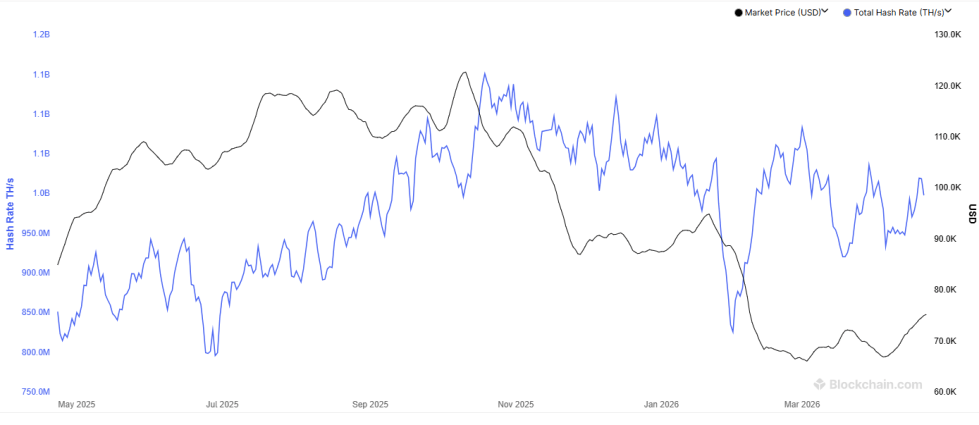 Bitcoin Hashrate